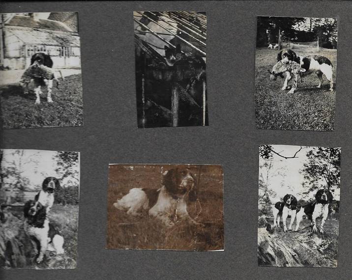 A newspaper clipping with a picture of a child

Description automatically generated